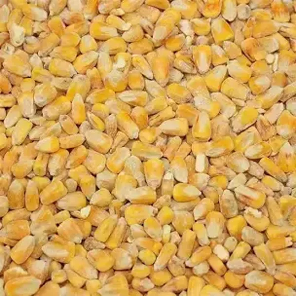 Whole Maize 20kg