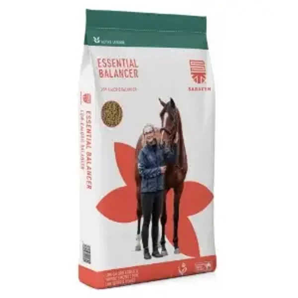 Saracen Essential Balancer 20kg