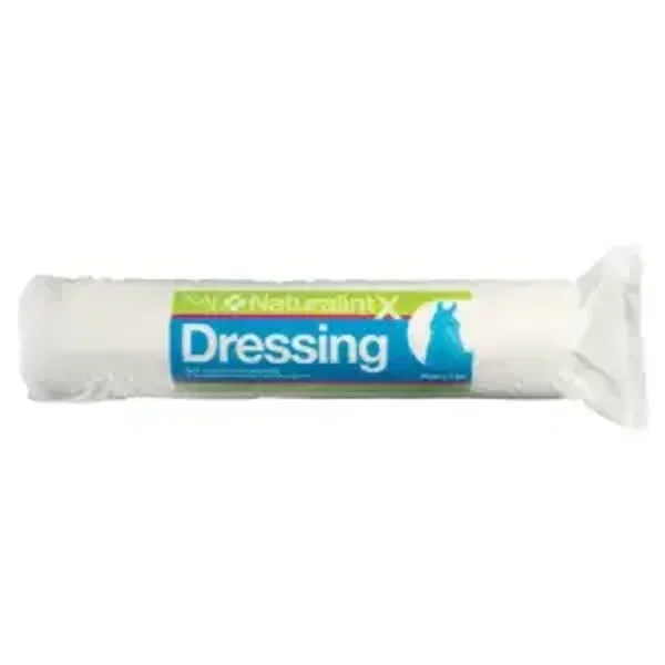 NAF Naturalintex Dressing 500g