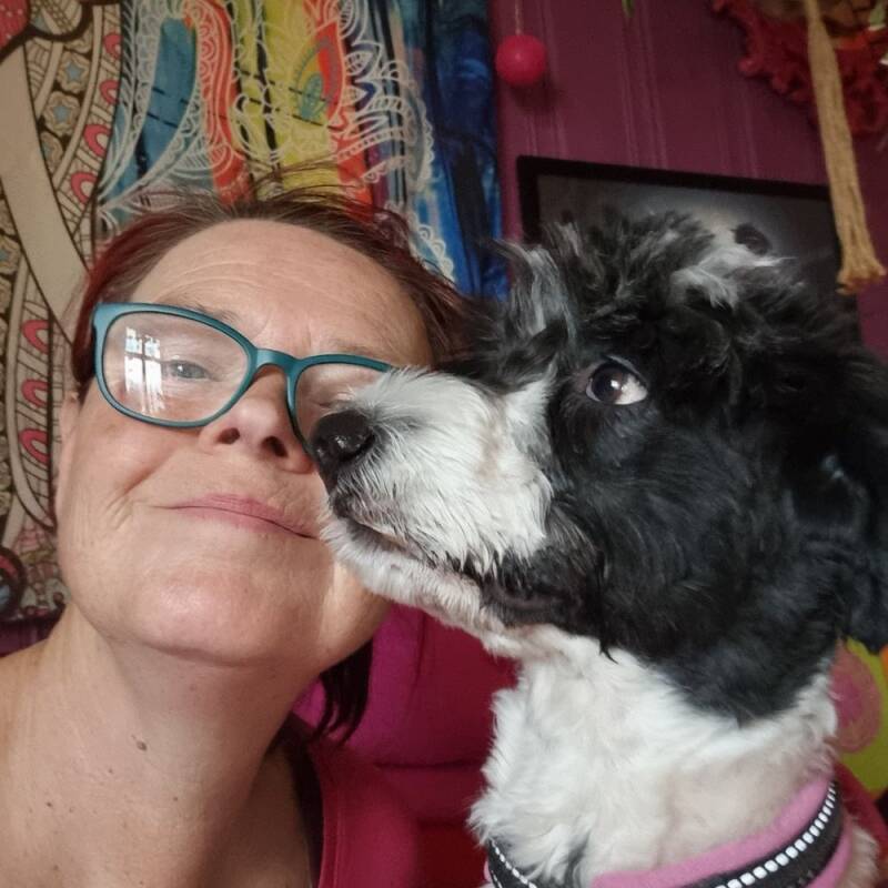 Jeg koser meg med hundebesøk