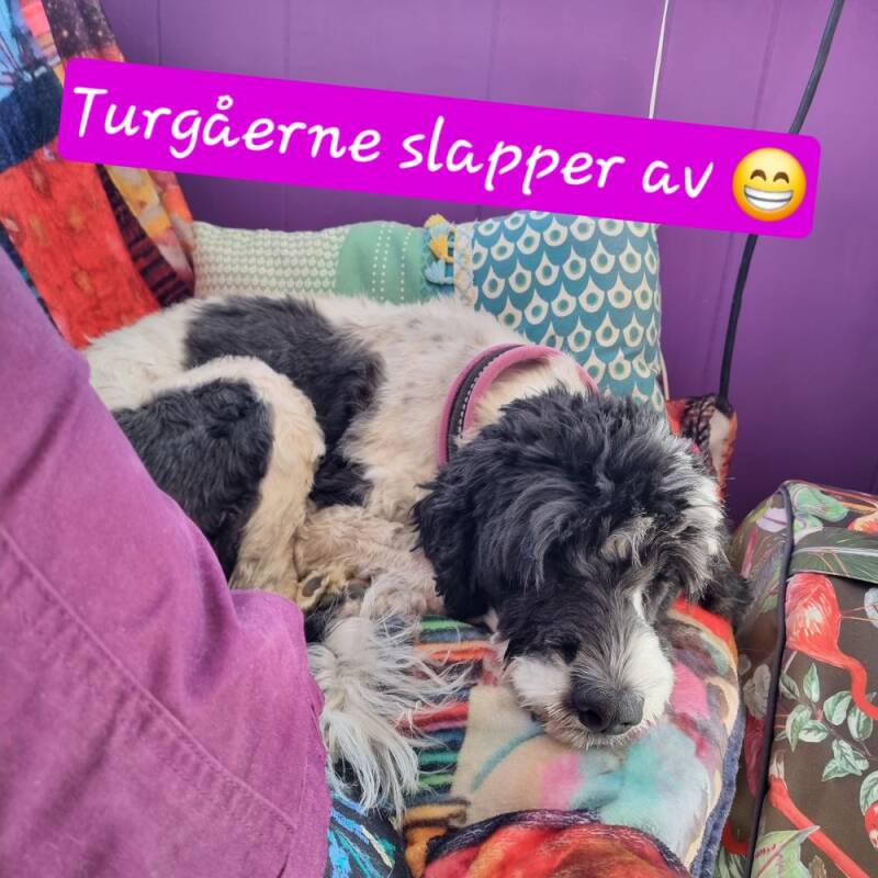 Turgåerne slapper av