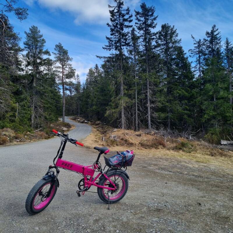 Med elsykkel til Granberget