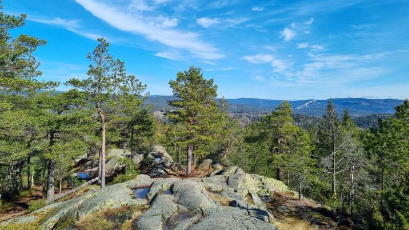 Utsikt fra Kolsåstoppen, med Holmenkollbakken i bakgrunnen