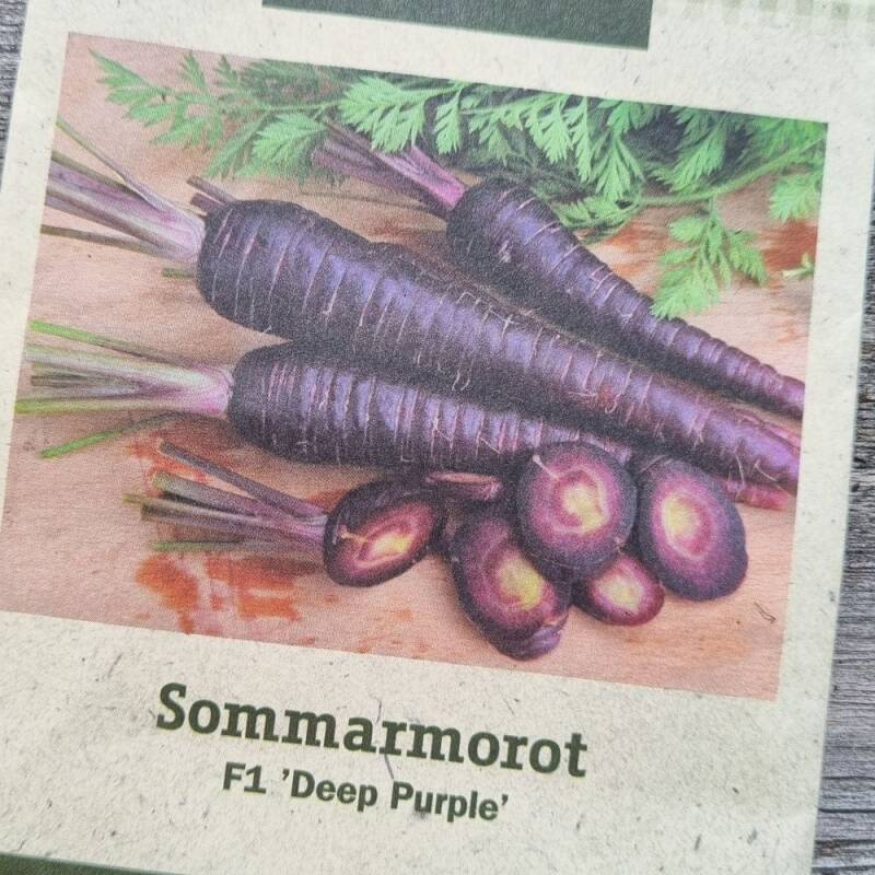 Lilla gulrøtter er sådd