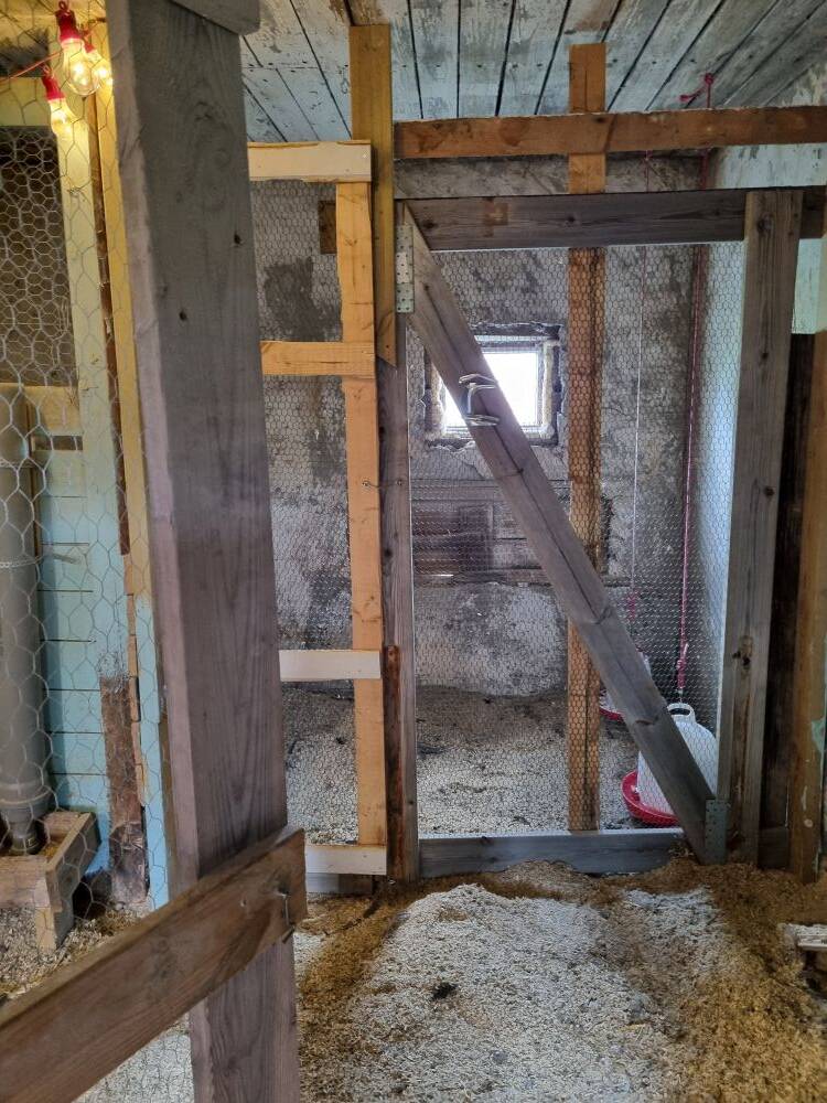 Inndeling i hønsehuset