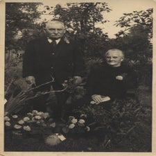 image-81-standard.jpg