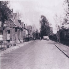 p1000252-standard-iundd7.jpg