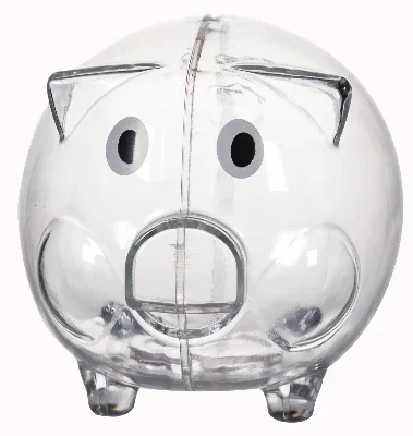 Clear Plastic Piggy Bank