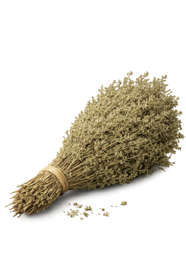 Oregano (Bündel)