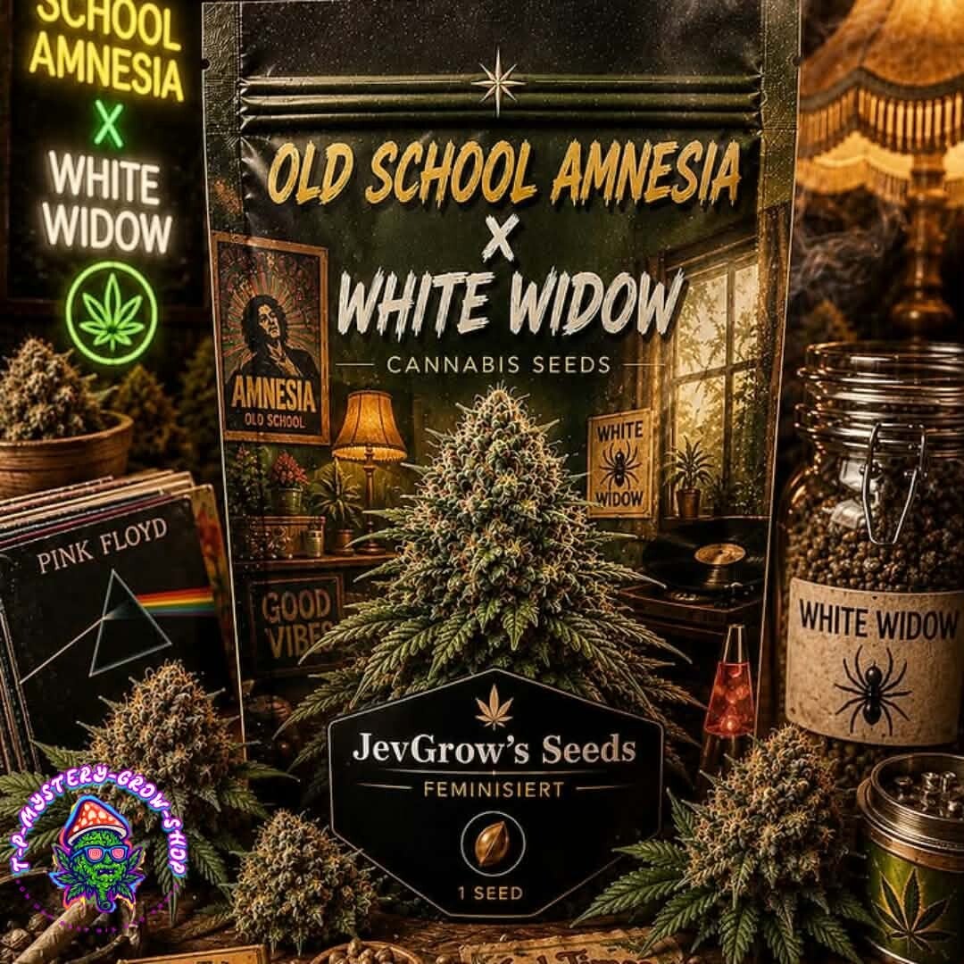 Old school Amnesia / White Widow Seeds