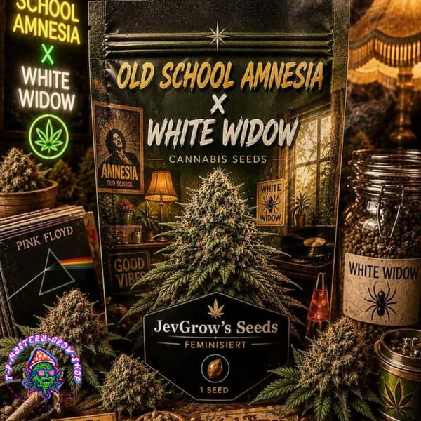 Old school Amnesia / White Widow Seeds