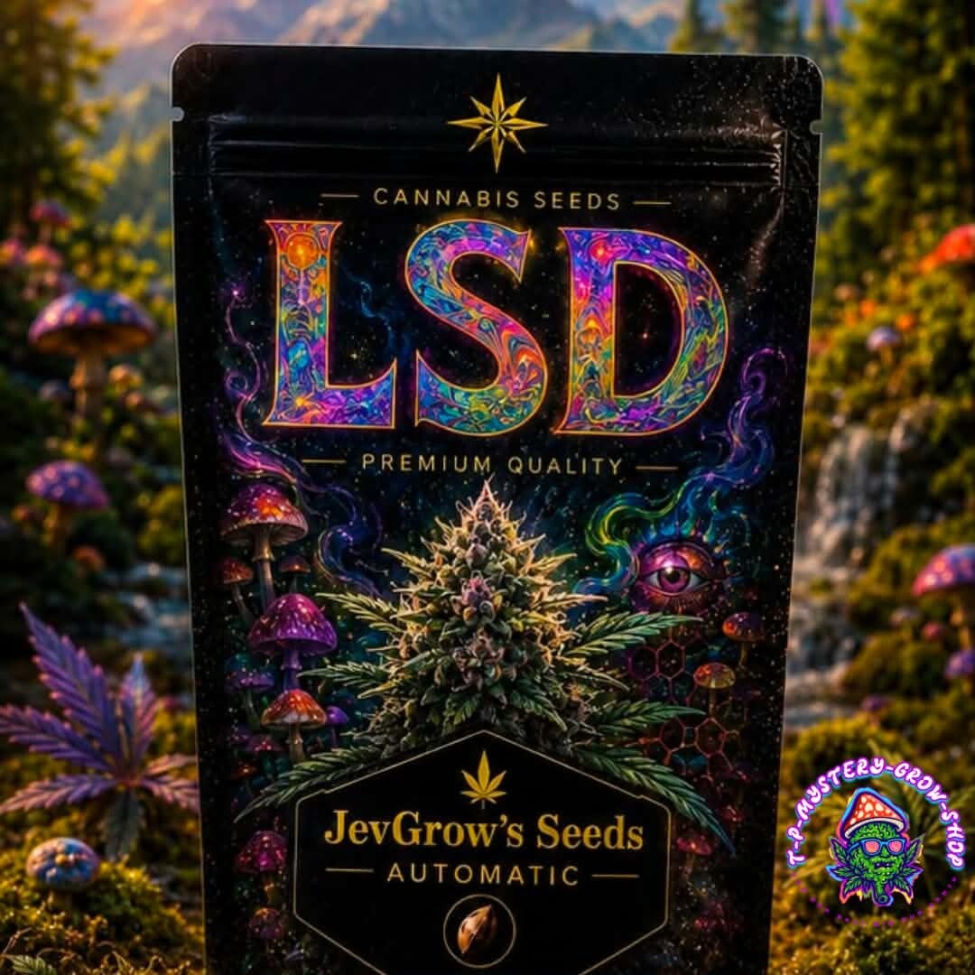 LSD Cannabis Seeds