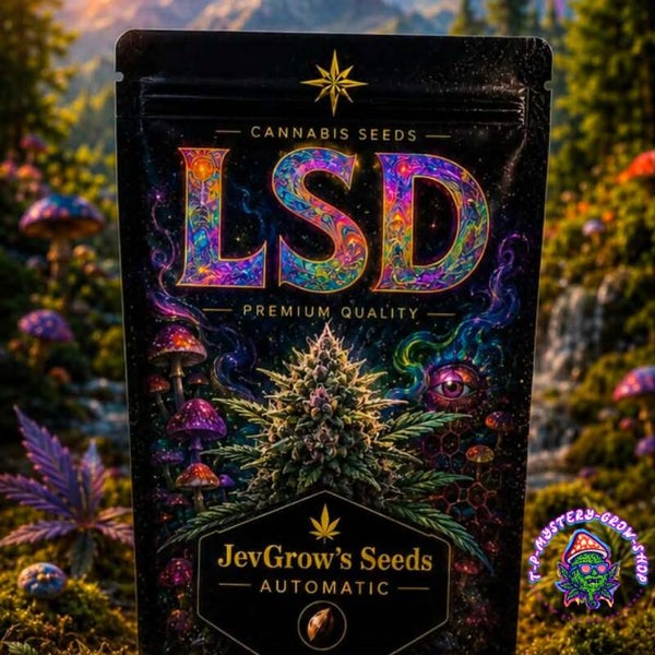 LSD Cannabis Seeds