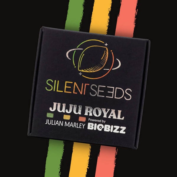 Jamaican Sunset by Julian Marley