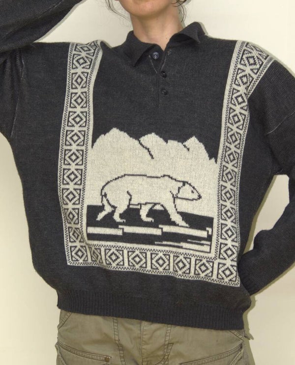 Antraciete trui met ijsbeer [Avanti/C&A]