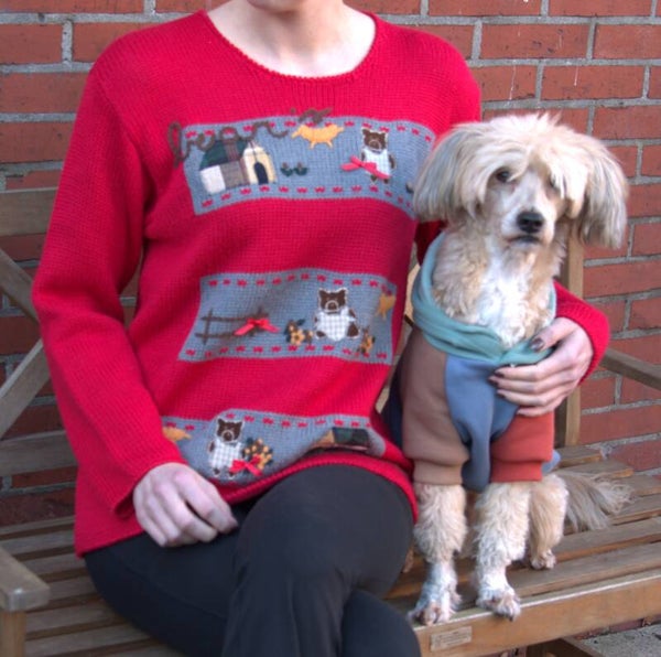 Beregoede rode trui [The Teddy Bear]