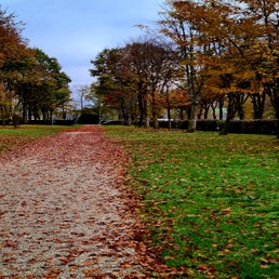 20221026_083433.jpg