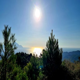 20230912_083620.jpg
