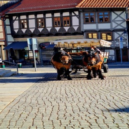 20220904_100614-1.jpg