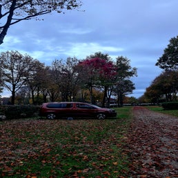 20221026_081343.jpg