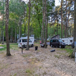 pxl_20240516_165503127-2-standard.jpg