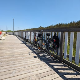 pxl_20240517_112036948-standard.jpg