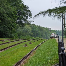 pxl_20240523_162019509-standard.jpg