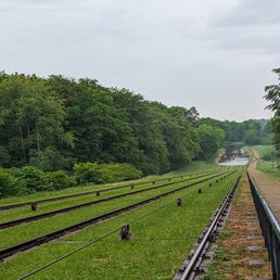 pxl_20240523_162459784-standard.jpg