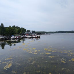 pxl_20240525_094728125-standard.jpg