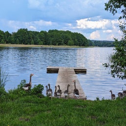 pxl_20240526_134037731-mp-2-standard.jpg