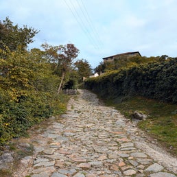 pxl_20241009_102424017-2-standard.jpg
