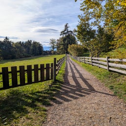 pxl_20241014_134058538-2-standard.jpg