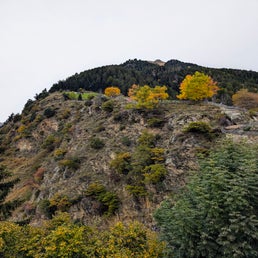 pxl_20241015_105019285-2-standard.jpg
