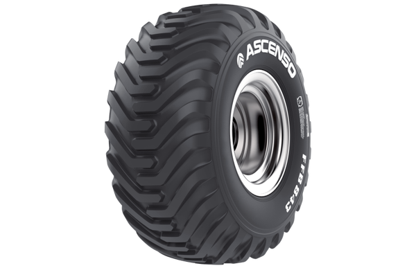 40060155 ASCENSO