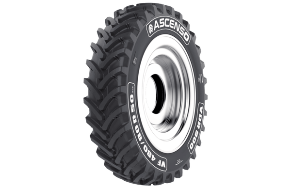 5208546 ASCENSO VF