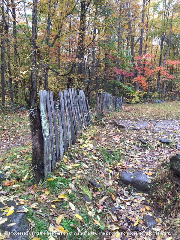 Old Country Fence