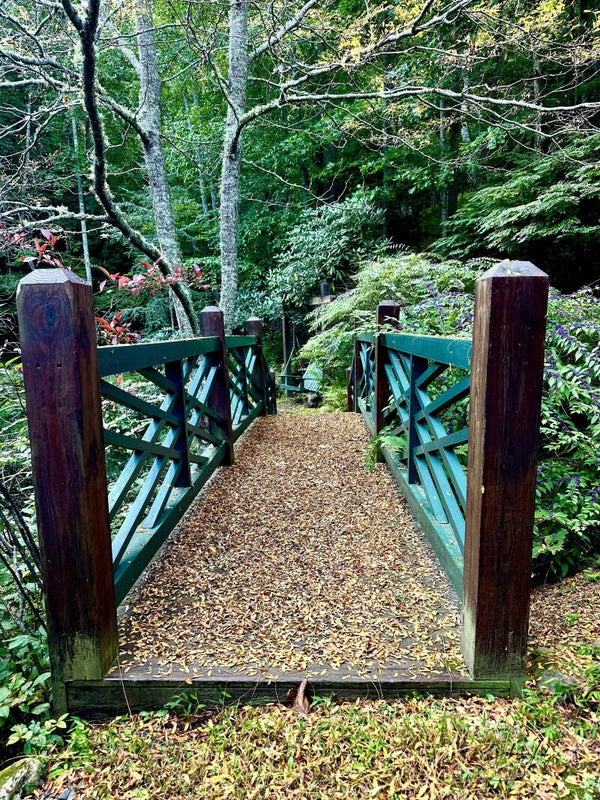 Crossing Into Quiet