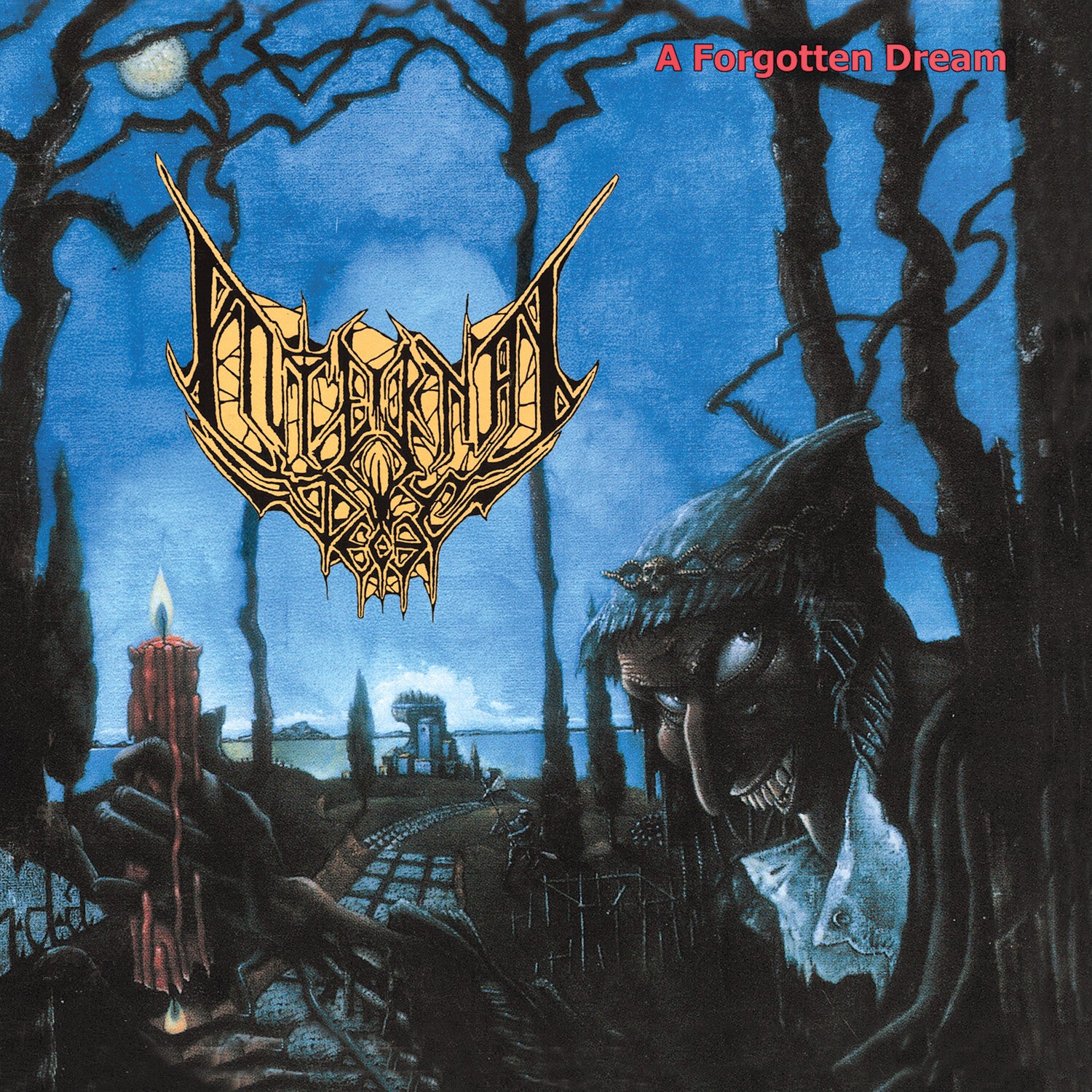 Internal Decay - A Forgotten Dream CD (pre order)