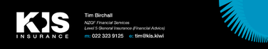 KIS Insurance