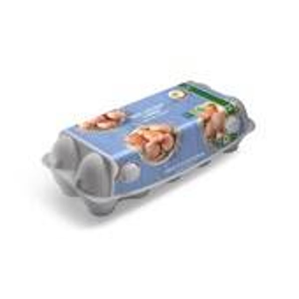 vrije uitloop ei m/l 10 Stuks