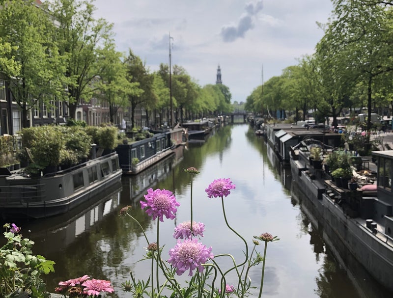 city walk amsterdam private guide - west side - canal belt
