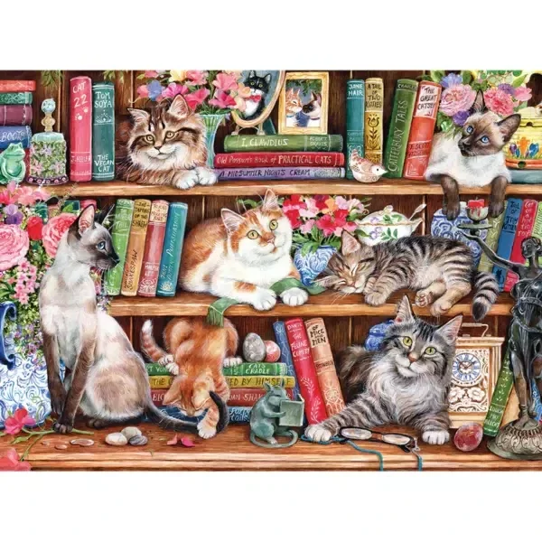 Cook: Puss Back in Books / 500 XXL