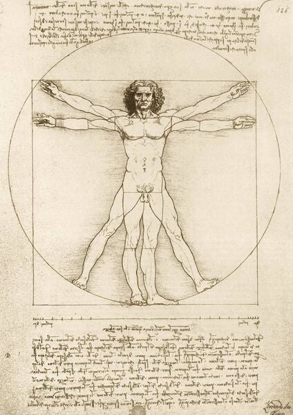 Leonardo: The Vitruvian Man