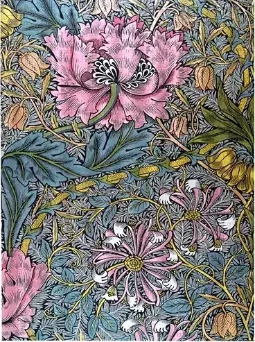 Morris: Pink Honeysuckle