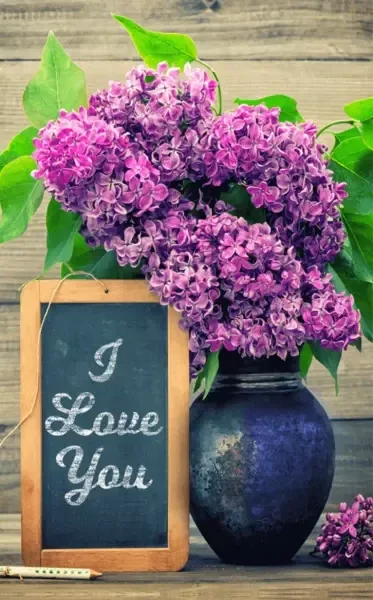 MP: I love you Lilacs