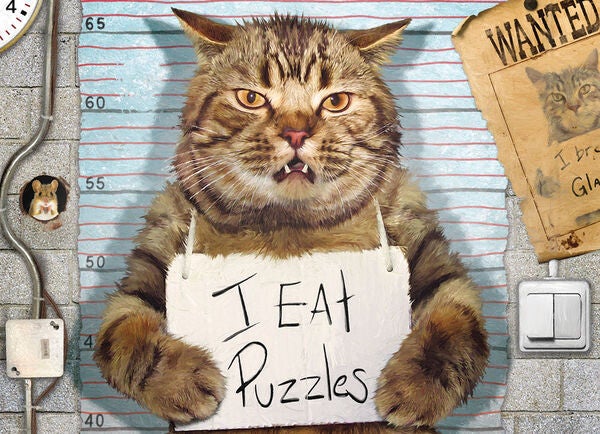 Normand: Feline Felon