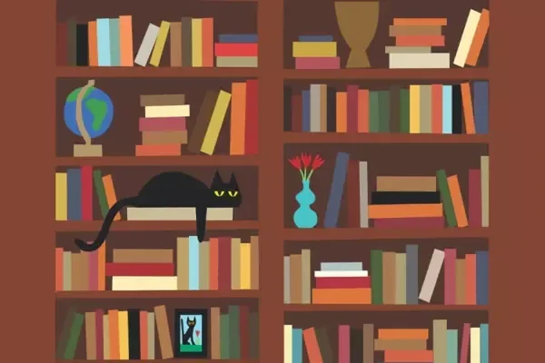 MP: Bookcase