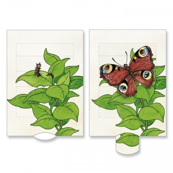 LK: Schmetterling