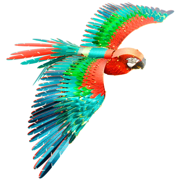 ME: Tiere / Parrot **