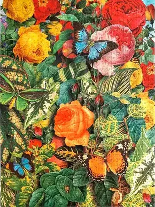Grayson: Butterfly Gardens